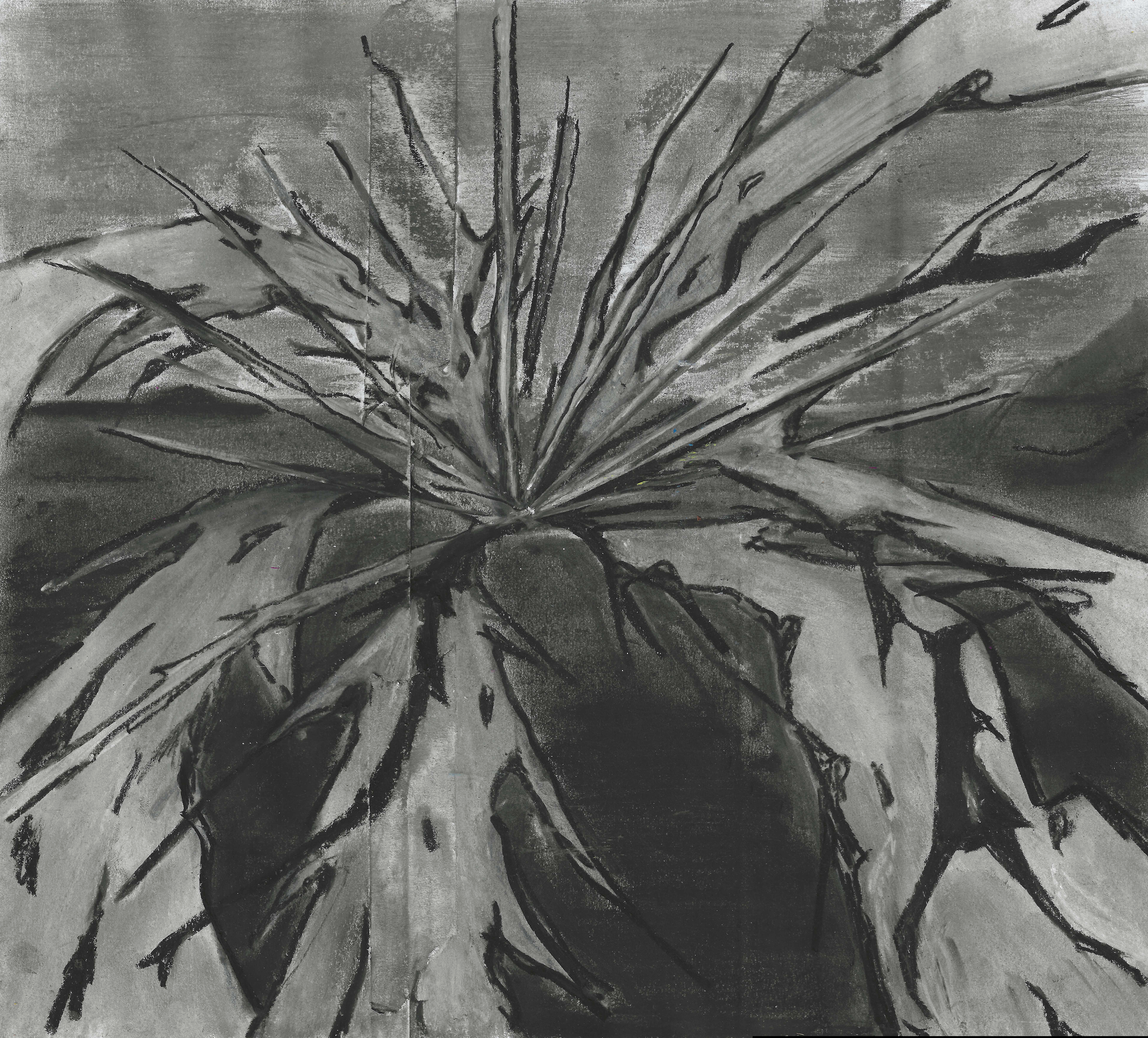 Drawings